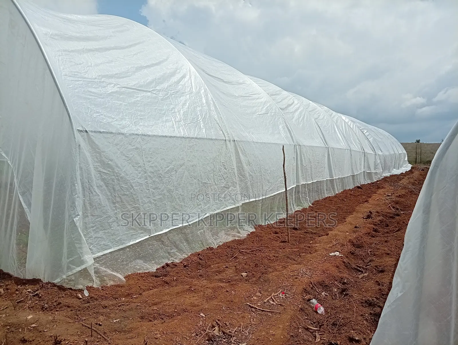 Greenhouse Construction