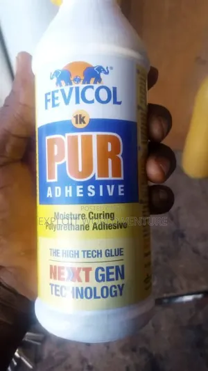Fevicol Gum