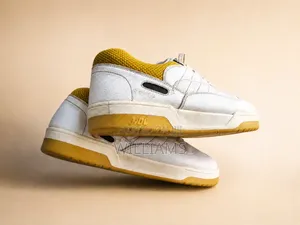 A Pair of Shoe