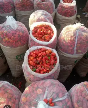 Pepper and Onion