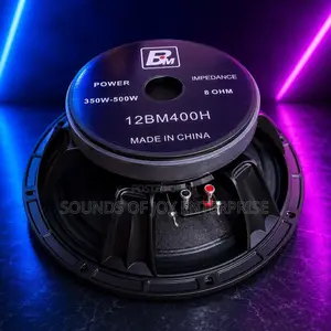 12 Inches Professional BM Naked Speaker