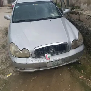 Hyundai Sonata 2006 Gray