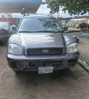 Hyundai Santa Fe 2004 Gray