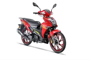 New Denstar Taurus 2026