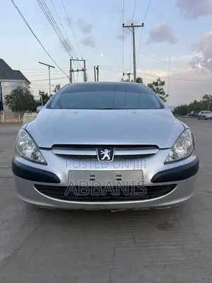 Peugeot 307 2007 Silver