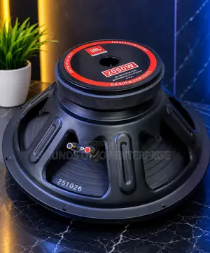 15 Inches JBL Professional Naked Speaker