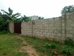 Cheap Land for Sale