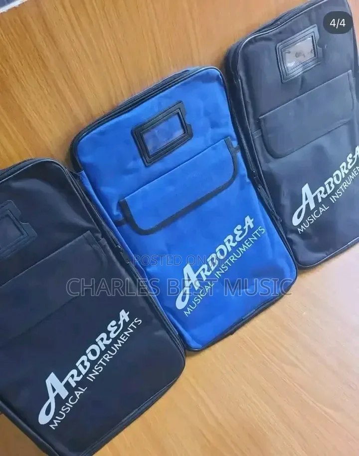 Professional Stick Bag  Padded