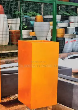 Concrete Pots Designs