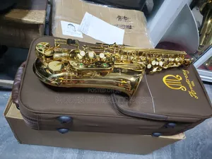 Armstrong Professional Alto Saxophone 🎷