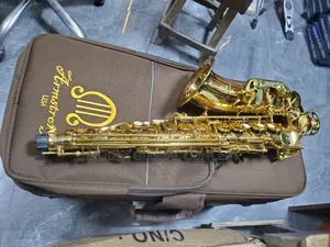 Armstrong Professional Alto Saxophone 🎷