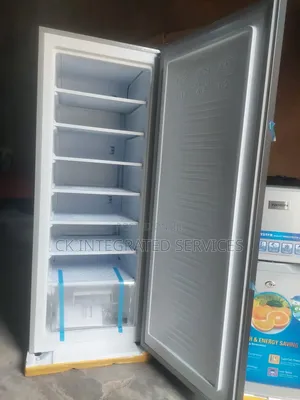 Polystar 377L AC/DC Ice Blocker/Freezer