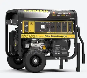Firman 6kva Key Start Generator - FPG8800E2R