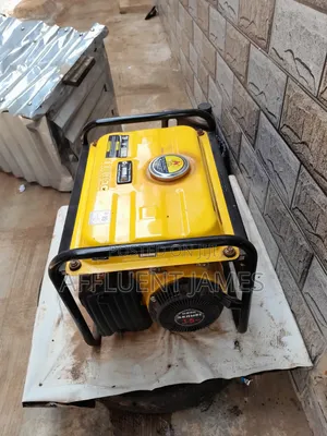 Clean Senwei Generator