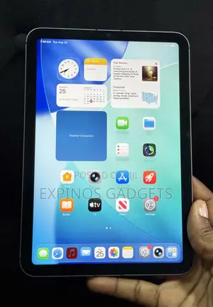 Apple iPad mini 6 64 GB Gray