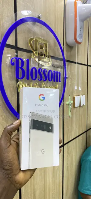 New Google Pixel 6 Pro 128 GB Black