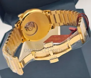 Luxury SkySeed Automatic Chain Watch