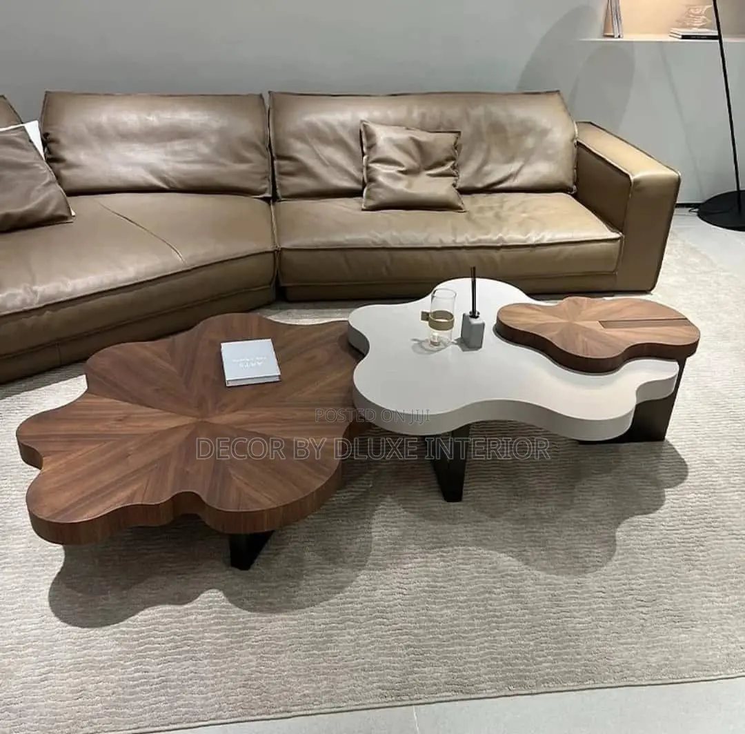 Modern Cloud Irregular-Shaped Minimalist Coffee Table Set