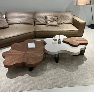 Modern Cloud Irregular-Shaped Minimalist Coffee Table Set