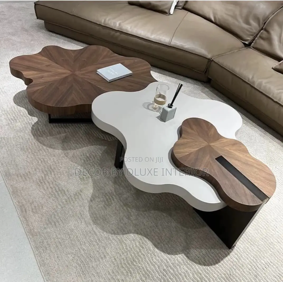 Modern Cloud Irregular-Shaped Minimalist Coffee Table Set