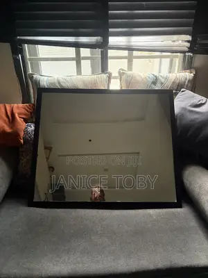 Mirror Available