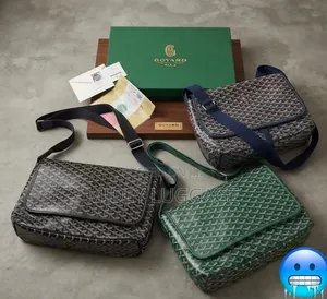 Goyard Side Bag Fully Boxed