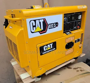 I Have Cat Diesel Soundproof Generator 10.5kva 100%copper Coil