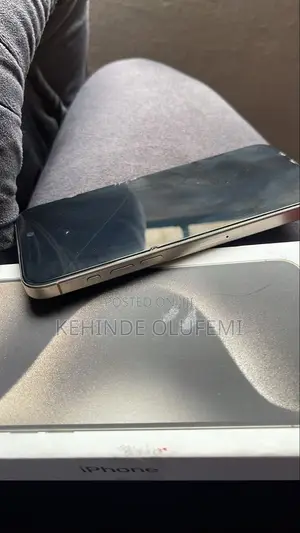 Apple iPhone 15 Pro Max 256 GB Gray