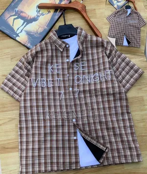 Plaid Buttoned Down Shirt