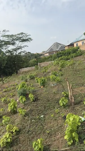 2 Plots of Land for Sale at Ariyibi Apete Ibadan