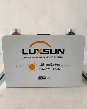 2.56KWh / 24V Luxsun Lithium Battery