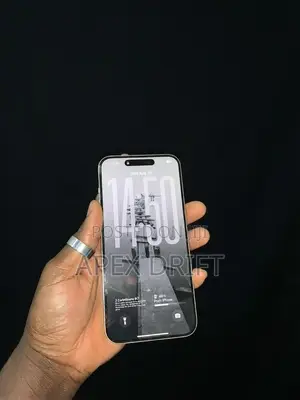 Apple iPhone 15 Pro Max 256 GB Gray
