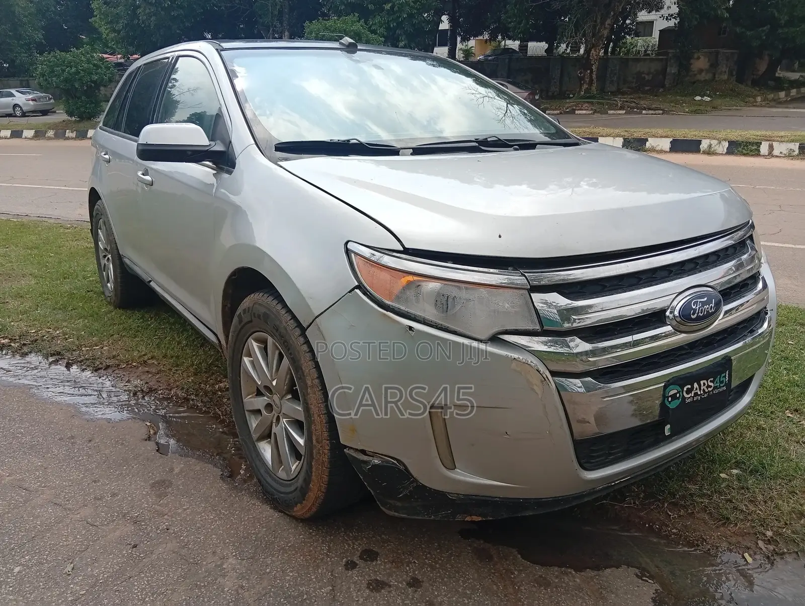 Ford Edge 2011 Silver