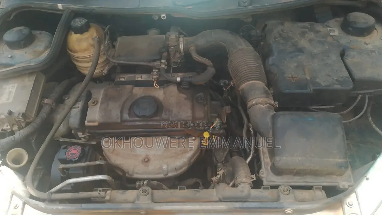 Peugeot 206 2004 Green