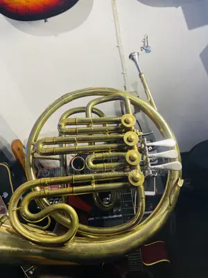 Rent a Professional Brass French Horn