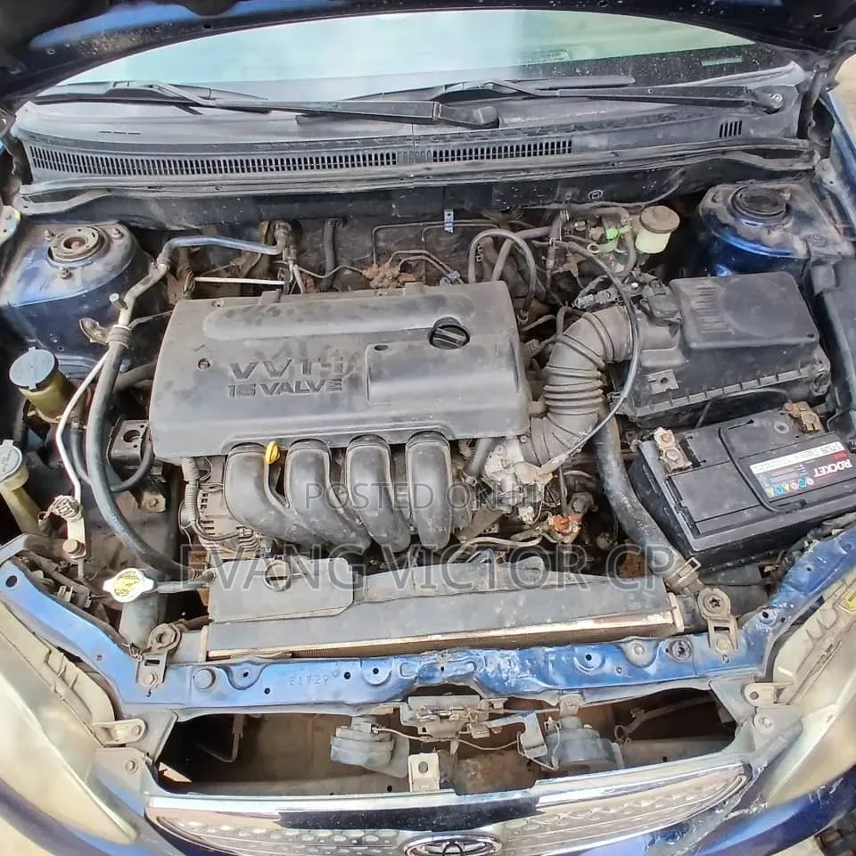 Toyota Corolla 2003 Blue