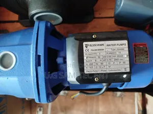 Techno Pompe JSW8M