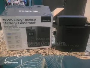 Used Ecoflow E980 Powerstation