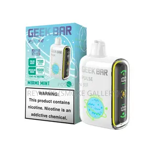 Geekbar Cool Mint 15k Puffs