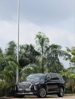 Hyundai Palisade 2019 Purple