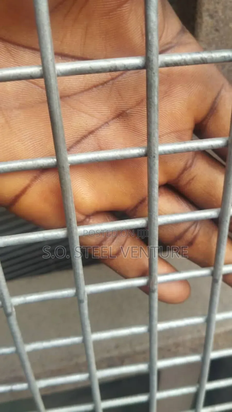 Galvanized Mesh Wire