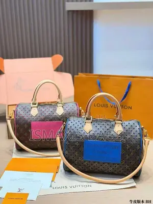 Louis Vuitton Original Bag Two Colours