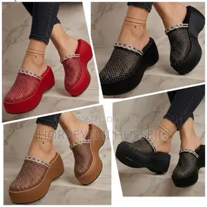Zara Wedge Shoe