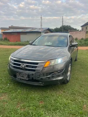 Honda Accord Crosstour EX-L AWD 2010 Gray