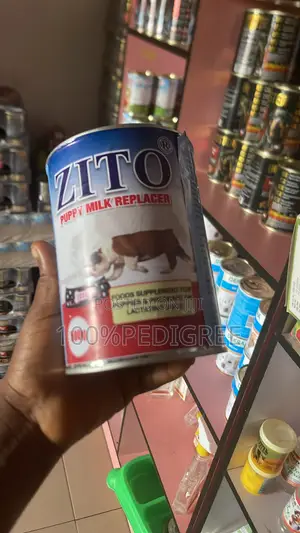 Dog Accessories