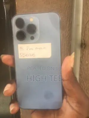 Apple iPhone 13 Pro 256 GB Gray