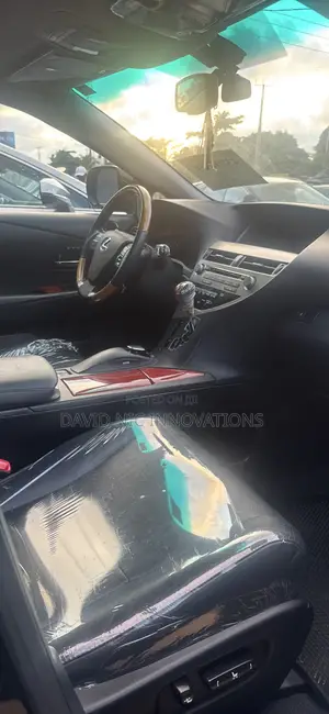 Lexus RX 2010 Black