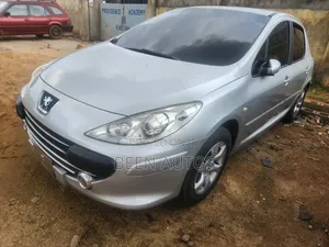 Peugeot 307 1.6 Grand Filou Cool 2008 Silver