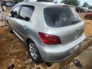 Peugeot 307 1.6 Grand Filou Cool 2008 Silver