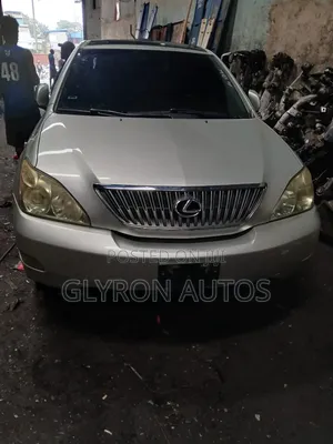 Lexus RX 330 2005 Silver